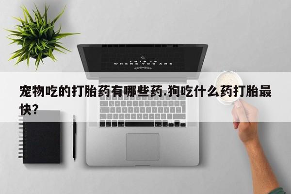 流产药网上怎么购买宠物吃的打胎药有哪些药.狗吃什么药打胎最快？